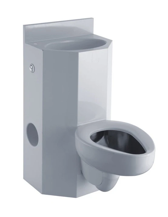Stainless Steel Combination Toilet Pan Spray Painting
